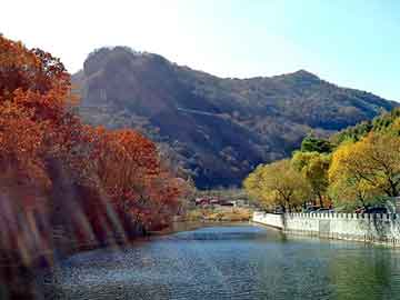 新澳门免费精准大全，都市神尊